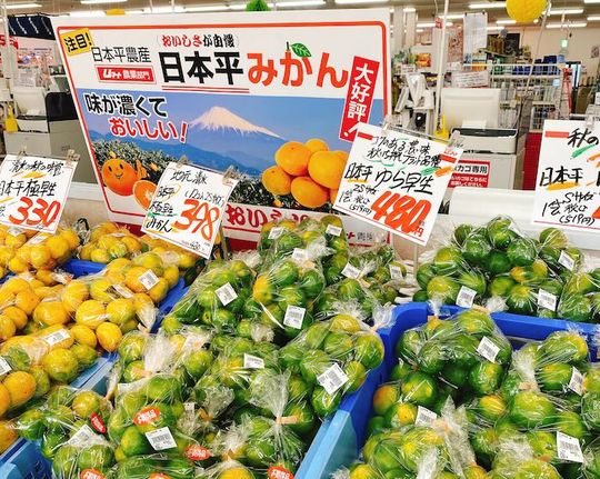 早生みかん売り場