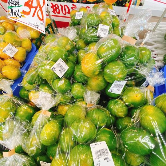 早生ゆらみかん
