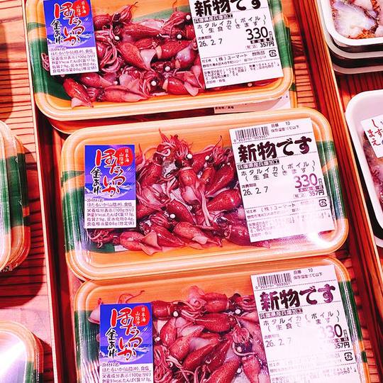 ほたるいか