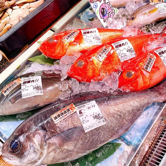20260611沼津港直送の魚たち.jpg