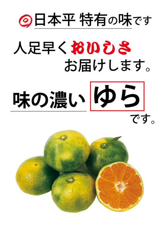 早生_味の濃いゆらです.jpg