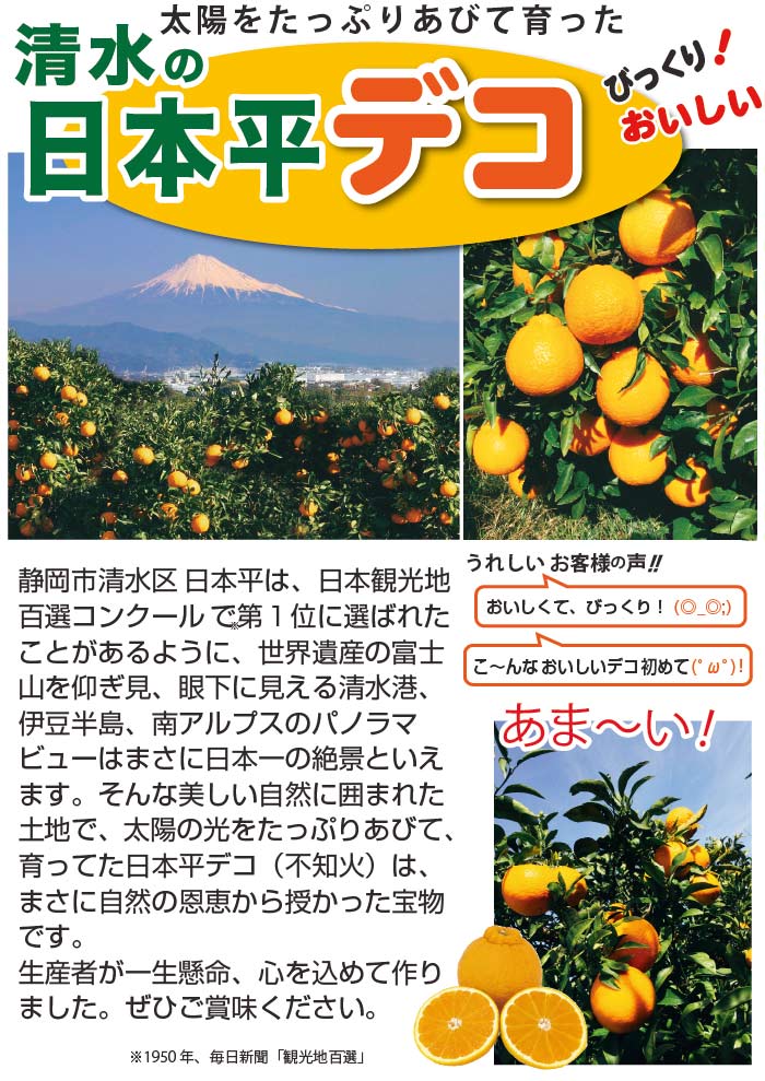 日本平デコの説明