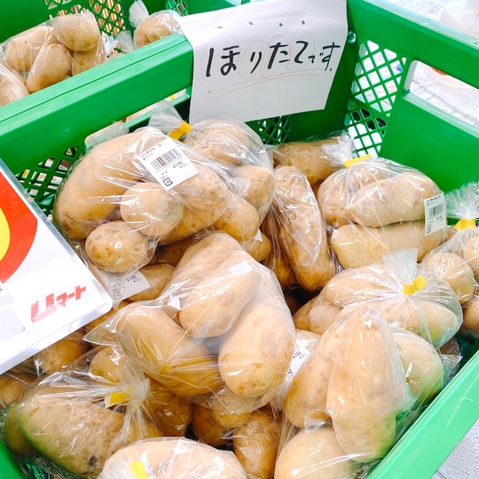 新メークイン