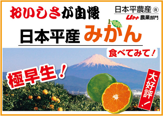 20261007極早生ラベル.jpg